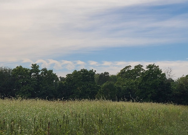 pipersville clouds